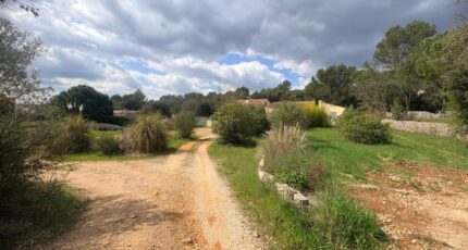 Saint-Maximin-la-Sainte-Baume Terrain à bâtir - 2470410-11680annonce120260328CewEi.jpeg Maisons Open