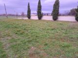  2473362-11041annonce320260401eGGHW.jpeg Maisons Open