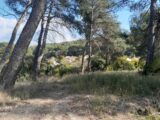  2497443-11238annonce220260430EZRPV.jpeg Maisons Open
