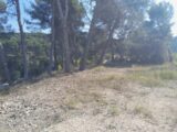  2497443-11238annonce320260430P5Uy9.jpeg Maisons Open