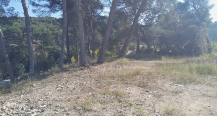 Septèmes-les-Vallons Terrain à bâtir - 2497443-11238annonce320260430P5Uy9.jpeg Maisons Open