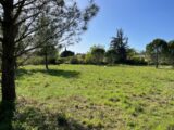  2512389-3418annonce320241007q7yMN.jpeg Maisons Open