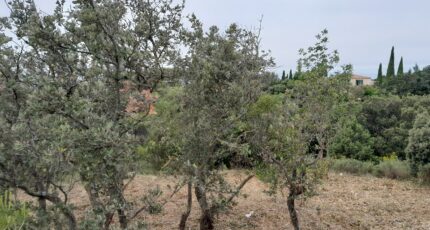 Villeneuve-lès-Avignon Terrain à bâtir - 2513954-695annonce420260519o48ip.jpeg Maisons Open