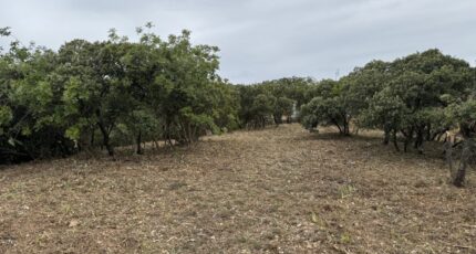 Villeneuve-lès-Avignon Terrain à bâtir - 2532980-3418annonce120260603sQTI4.jpeg Maisons Open