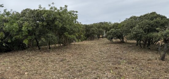 Terrain à bâtir à Villeneuve-lès-Avignon, Occitanie