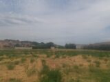  2535230-695annonce3202606042PV48.jpeg Maisons Open