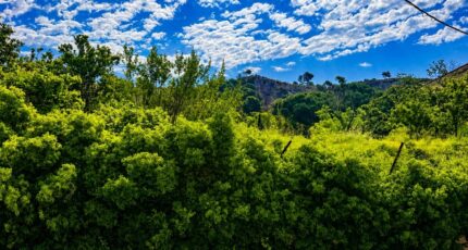Vitrolles Terrain à bâtir - 2541404-11680annonce4202606095r6GM.jpeg Maisons Open