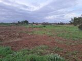  2557529-11041annonce120260619ME4D8.jpeg Maisons Open