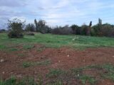  2557529-11041annonce220260619o0Lrq.jpeg Maisons Open