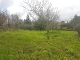  2559741-10326annonce1202606221QURW.jpeg Maisons Open