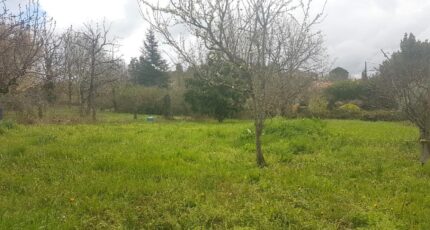 Villeneuve-Tolosane Terrain à bâtir - 2559741-10326annonce1202606221QURW.jpeg Maisons Open