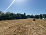   Maisons Open
