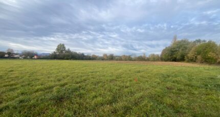 Juillan Terrain à bâtir - 2568602-902annonce3202603040hQX6.jpeg Maisons Open