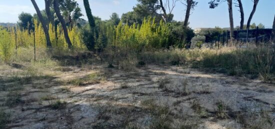 Terrain à bâtir à Septèmes-les-Vallons, Provence-Alpes-Côte d'Azur