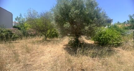 La Ciotat Terrain à bâtir - 2585439-11680annonce320260719H1wEH.jpeg Maisons Open