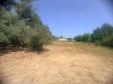  2585452-11680annonce420260719F33Cf.jpeg Maisons Open