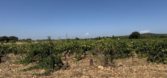 Terrain à bâtir à , Vaucluse