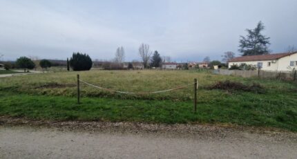 Martres-Tolosane Terrain à bâtir - 2600543-10326annonce120260811WLVTp.jpeg Maisons Open