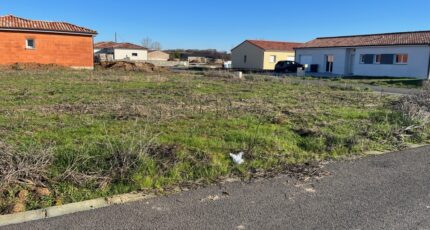 Lisle-sur-Tarn Terrain à bâtir -  Maisons Open