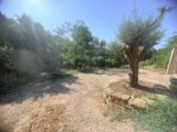  2606879-11680annonce2202608240I5Gg.jpeg Maisons Open