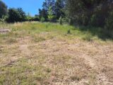  2608574-11041annonce2202608252Jrts.jpeg Maisons Open