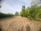  2611881-11680annonce220260831Zg6fg.jpeg Maisons Open