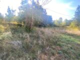  2612884-9599annonce120260901azM1N.jpeg Maisons Open