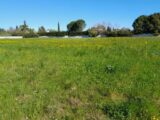  2615831-695annonce120260902DTc7P.jpeg Maisons Open