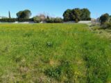  2615856-695annonce220260902i9lNm.jpeg Maisons Open