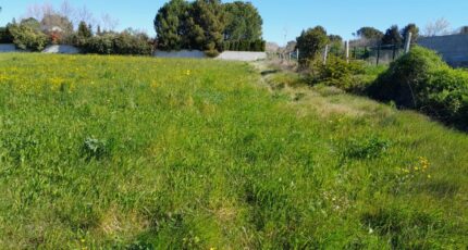 Bédarrides Terrain à bâtir - 2615856-695annonce320260902QLcrw.jpeg Maisons Open