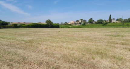 Cabrières-d'Avignon Terrain à bâtir - 2615872-695annonce420260902VKwkN.jpeg Maisons Open