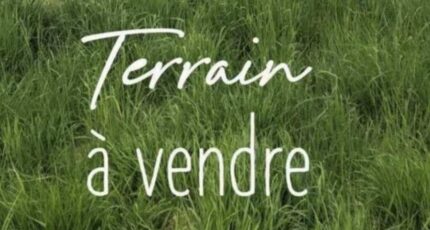 Sénac Terrain à bâtir - 2616067-10558annonce12025091634np8.jpeg Maisons Open