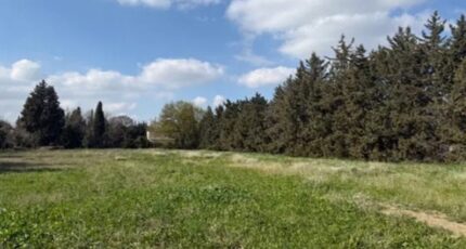 Avignon Terrain à bâtir - 2620586-3418annonce320260416eCGZK.jpeg Maisons Open