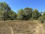  2636095-4590annonce220260525xC45V.jpeg Maisons Open