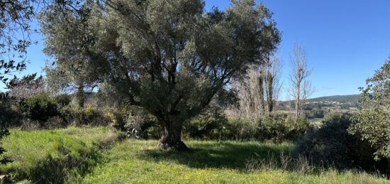 Terrain à bâtir à , Var
