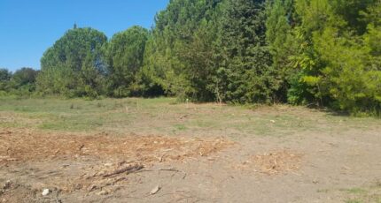 Fontvieille Terrain à bâtir - 2640202-695annonce220260918Ur6oK.jpeg Maisons Open