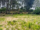  2640442-11677annonce120260919yRVgw.jpeg Maisons Open