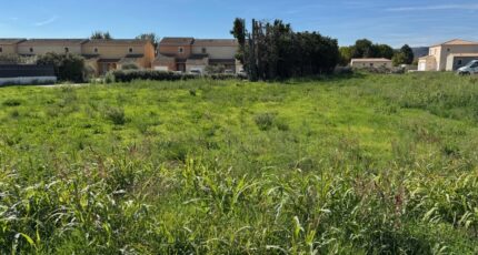 Sorgues Terrain à bâtir - 2642409-616annonce220260921ou10L.jpeg Maisons Open