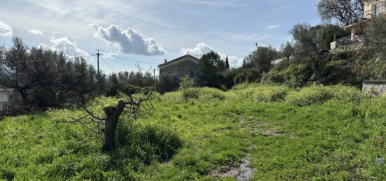 Terrain à bâtir à Solliès-Ville, Provence-Alpes-Côte d'Azur