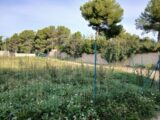  2645536-11680annonce320260923T5gfr.jpeg Maisons Open