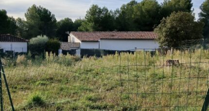 Rognac Terrain à bâtir - 2645536-11680annonce520260923UolaB.jpeg Maisons Open
